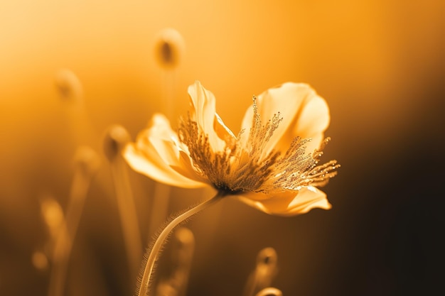 Uma flor amarela com um fundo marrom