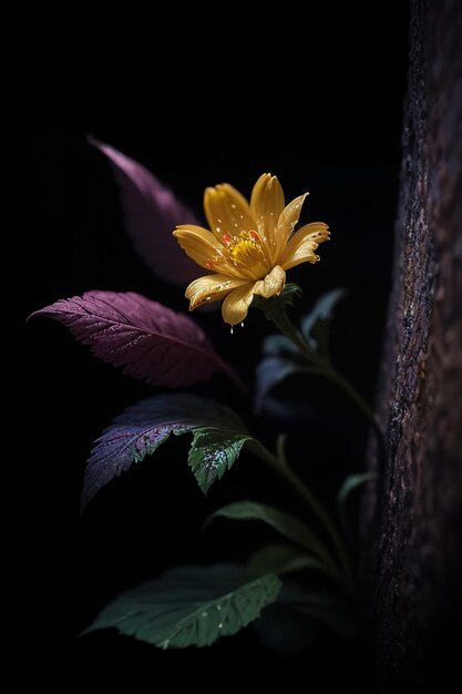 Uma flor amarela no escuro