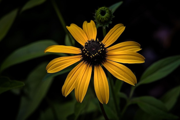 Uma flor amarela no escuro