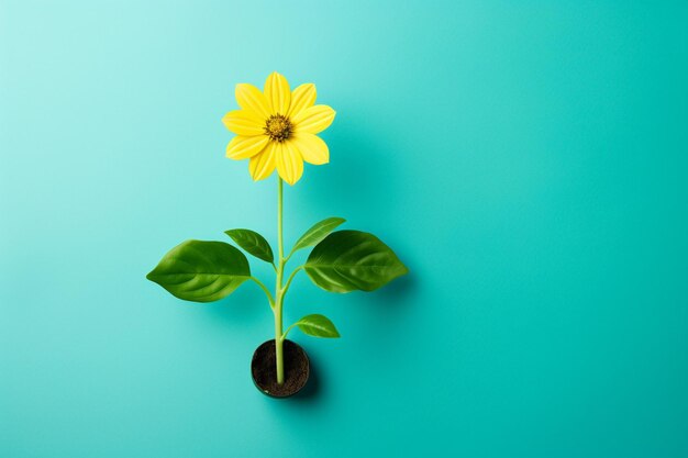 Foto uma flor amarela sobre um fundo azul