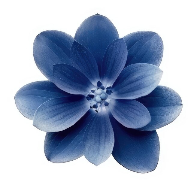 Uma flor azul com a palavra "azul" escrita.