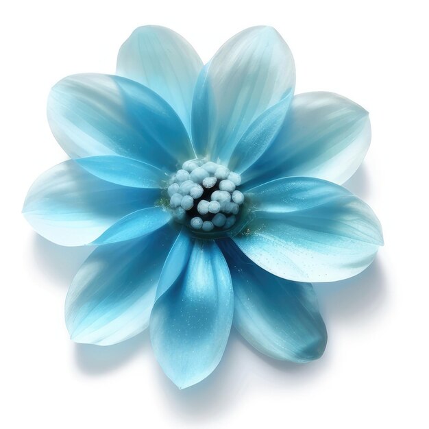 Foto uma flor azul com fundo branco e a flor azul na parte inferior.