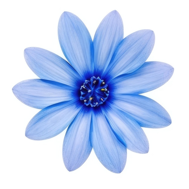 Foto uma flor azul com o centro azul é mostrada na imagem.