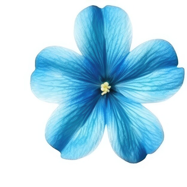 Uma flor azul com um centro amarelo e o centro é uma flor azul.