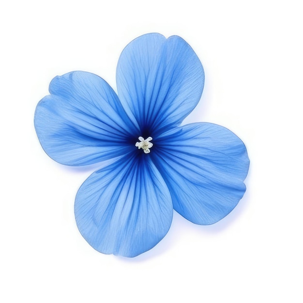 Uma flor azul com um centro branco que diz 'primavera'