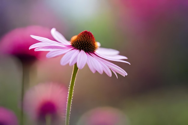 uma flor com a ponta vermelha da flor