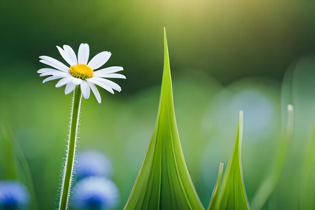 Foto uma flor com o sol a brilhar através das folhas