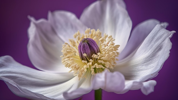 Uma flor com um fundo roxo