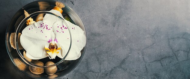 Uma flor de orquídea flutua em um aquário circular em torno de pedras