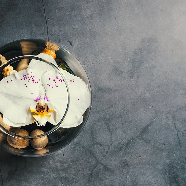 Foto uma flor de orquídea flutua em um aquário circular