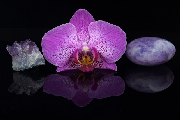 Uma flor de uma orquídea rosa entre diferentes pedras de ametista em um fundo preto