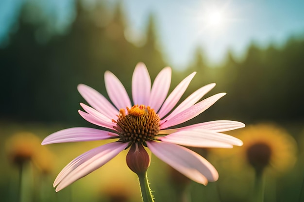 Uma flor em um campo de flores