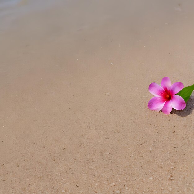 uma flor na areia com uma flor em primeiro plano