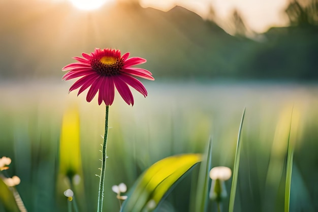 uma flor na grama com o sol atrás dela