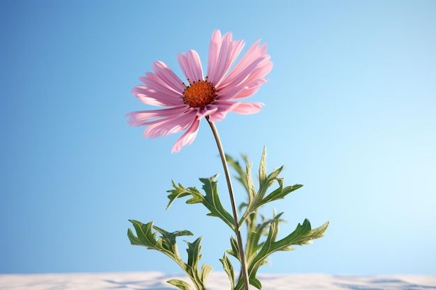 Foto uma flor rosa com um caule verde e um centro azul