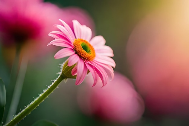 Uma flor rosa com um centro verde e um centro verde.