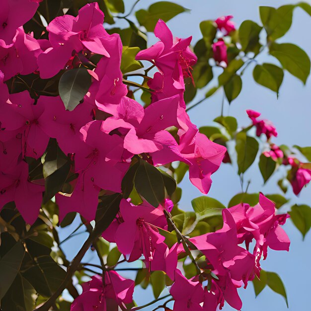 Foto uma flor rosa está florescendo em uma árvore