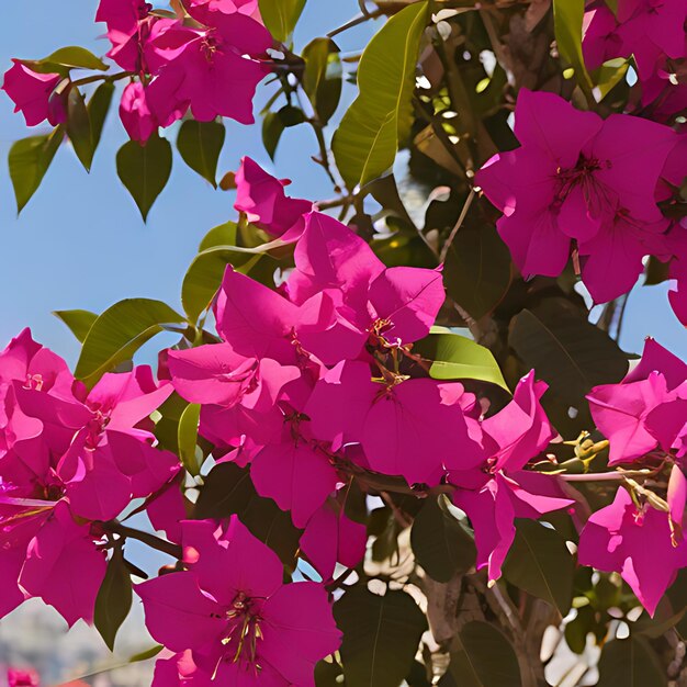 Foto uma flor roxa com a palavra abelha