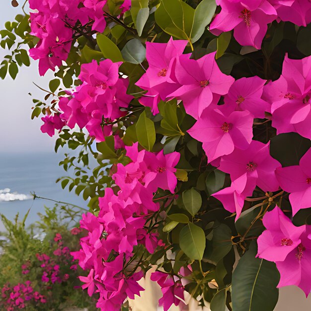 Foto uma flor roxa pendura sobre uma varanda com um navio no fundo