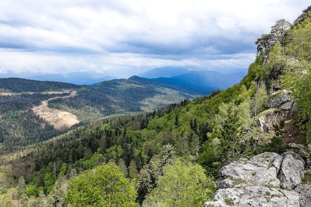 Uma floresta ao lado das rochas com vista para os prados alpinos O planalto LagoNaki na Adygea Rússia 2021