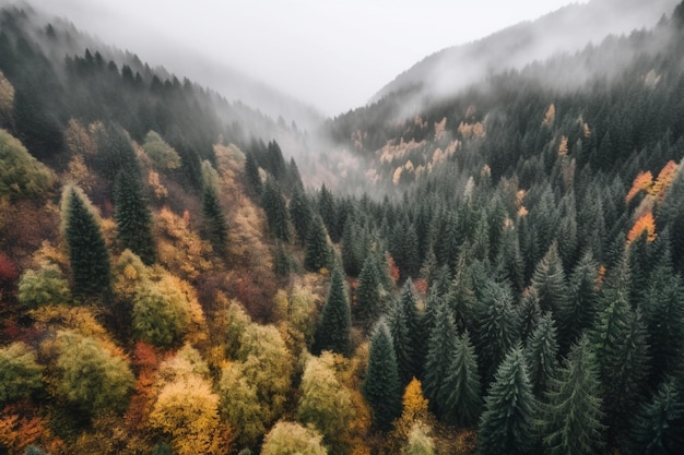 Uma floresta com um céu nublado e uma floresta com árvores e uma montanha ao fundo