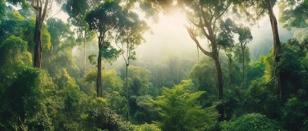 Uma floresta com um sol brilhando nas árvores