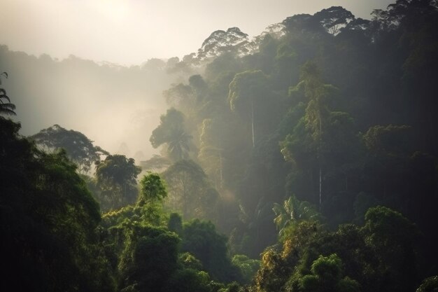 Uma floresta pela manhã com neblina