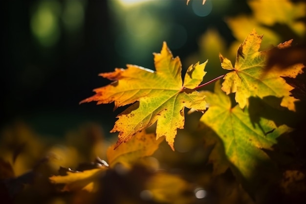 Uma folha que tem a palavra outono nela