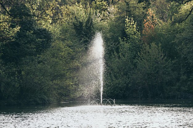 Uma fonte em um parque público