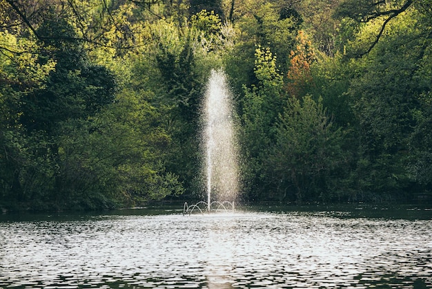 Uma fonte em um parque público