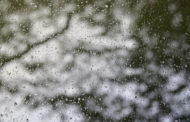 Uma foto de gotas de chuva no vidro da janela com uma visão borrada das árvores verdes em flor