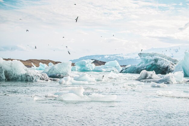 Foto uma foto de um rio congelado com icebergs e pássaros ao fundo.