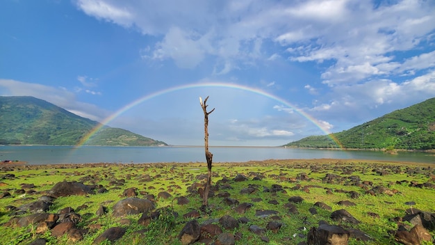 Uma foto de uma bela paisagem com um arco-íris