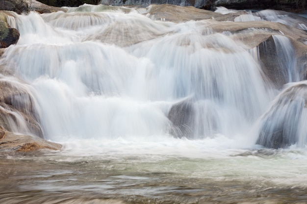 Uma foto de uma torrente de água na floresta