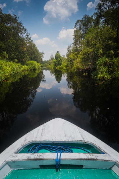 uma foto do rio da água negra em tanjung puting national park