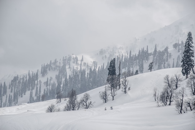 Foto uma foto impressionante de uma montanha de neve