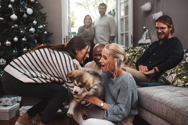 É uma foto recortada tão fofa de um grupo de amigos alegres saindo juntos com um cachorrinho na sala de estar em casa durante o natal