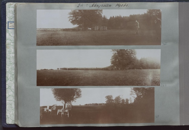 uma foto vintage de uma vaca e uma vaca em um campo