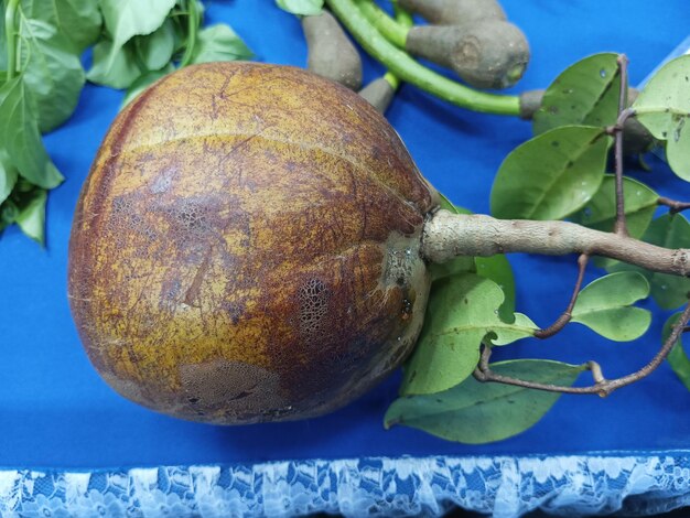 Foto uma fruta que tem a palavra melão