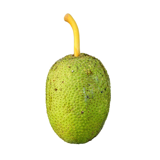 Foto uma fruta verde com uma haste amarela