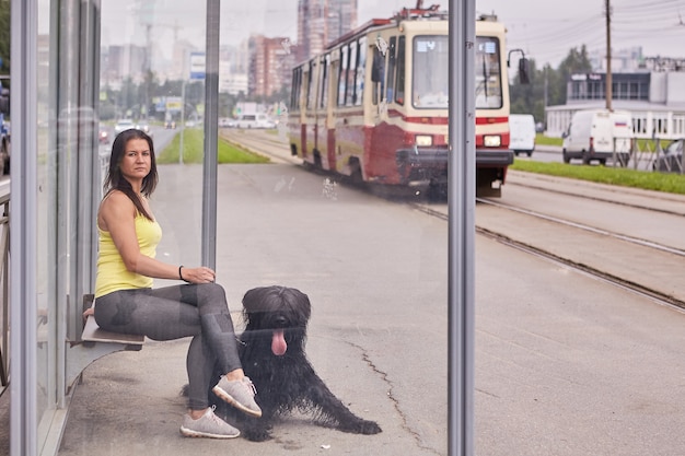 Uma garota branca e seu briard preto estão sentados em um ponto de transporte público com um bonde