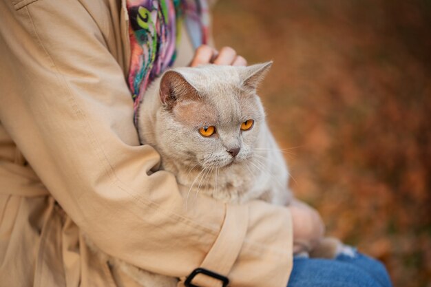 uma garota caminha pelo parque de outono com um gato nos braços