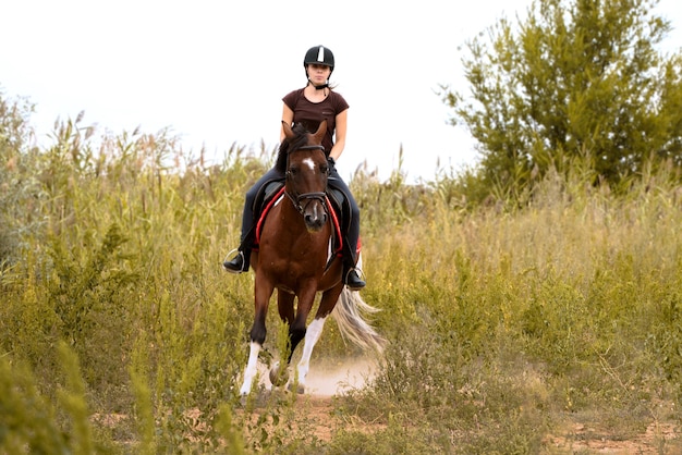 Uma garota com um capacete de montaria cavalga um cavalo selvagem galopando em um campo entre arbustos verdes em direção ao fotógrafo
