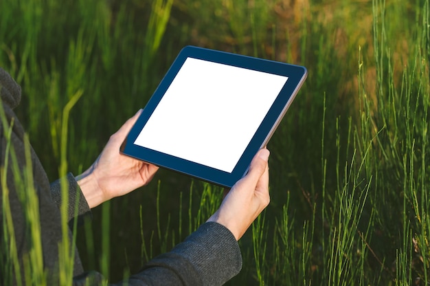 Uma garota com um suéter cinza tem uma maquete de tablet nas mãos. no contexto de uma bela natureza.