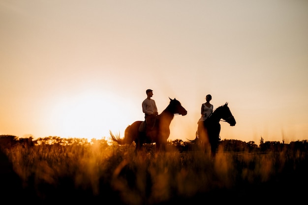 Uma garota com um vestido de verão branco e um cara com uma camisa branca em uma caminhada com cavalos marrons na aldeia