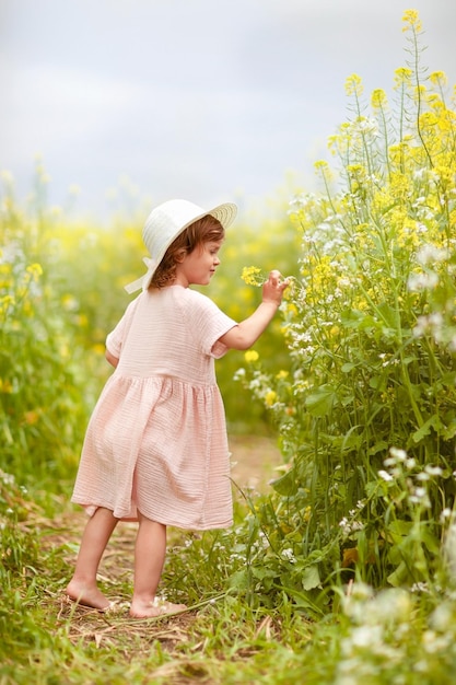 uma garota de chapéu em um campo de colza agora está olhando para flores