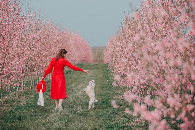 Uma garota de vestido vermelho caminha no jardim primavera e brinca com um cachorro