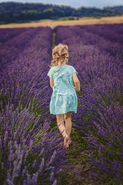 uma garota descalça atravessa um campo de lavanda visão traseira