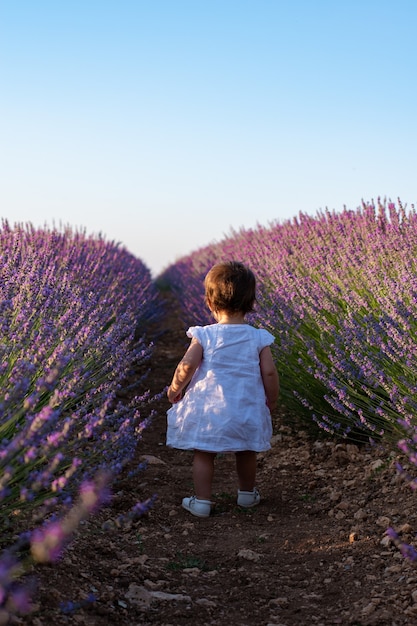 Uma garota em um vestido branco entre os campos de lavanda