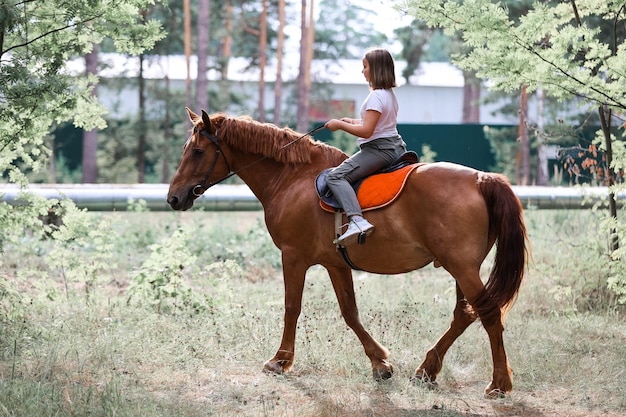 Uma garota monta um cavalo no verão quente na floresta